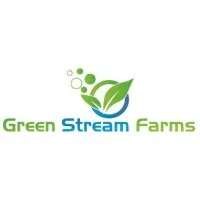Green Stream Algae