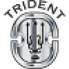 Trident Crisis Management Group, Inc.