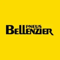 Bellenzier Pneus