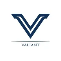Valiant Management Group