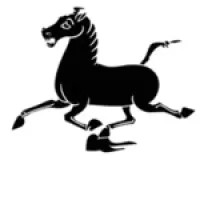 Northwest China Council