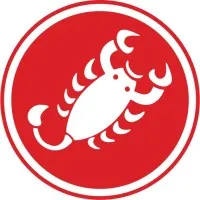 Castelli Cycling email format
