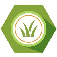 Learning Blade Learning Blade