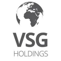 VSG Holdings 