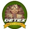 Detex Egypt Detex Egypt