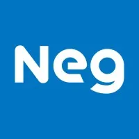 Nippon Electric Glass / NEG