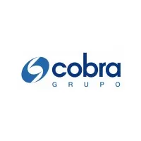 Grupo Cobra email format