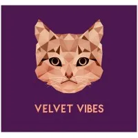 Velvet Vibes Music Velvet Vibes Music
