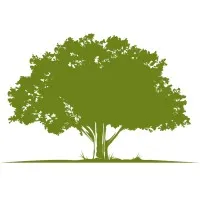 Five Oaks Speech Therapy Services