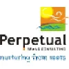 Perpetual Brand Consulting