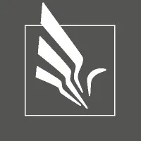 AISE Consulting