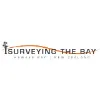 Surveying The Bay Surveying The Bay