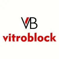 Vitroblock SA