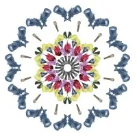 Grapevine North Sydney, Australia