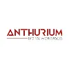 Anthurium Anthurium