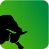 Greenbull Group Greenbull Group