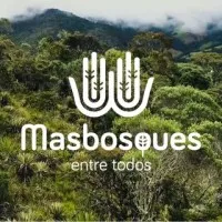 Masbosques