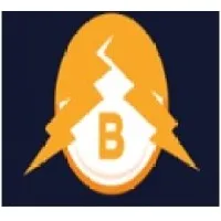 BALAJI INSTRUMENTS & ELECTRIC AGENCIES