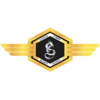 Ginius Cyber Security Council