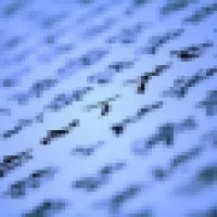 Global Language Consultants