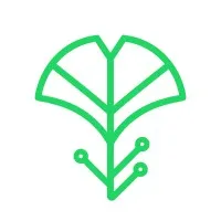 BitBranch