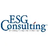 ESG Consulting ESG Consulting