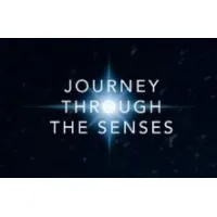 Journey Through The Senses
