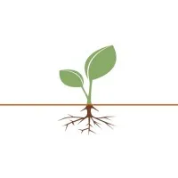 The Divorce Recovery Center