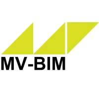 MV-BIM