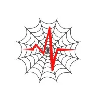 Medical Legal Spider Medical Legal Spider