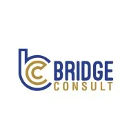 Bridge Consult Limited Bridge Consult Limited