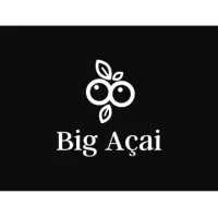 BIG ACAI CORP