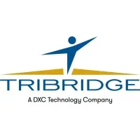 Tribridge