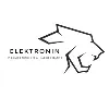 Team Elektronin Racers Team Elektronin Racers