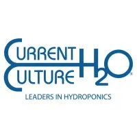 Current Culture H2O