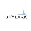 Skylark Medical