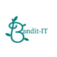 Bandit-IT Inc