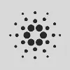Cardano Foundation Cardano Foundation