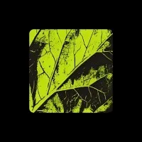 Lemon Technologies
