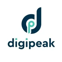 Digital Marketing Peaks