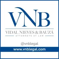 Vidal, Nieves & Bauzá, LLC