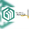 Industrial Maule Industrial Maule