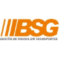 BSG CONSULTORES