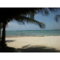 Five Star Travel and Cruises