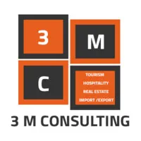 3M Consulting 3M Consulting
