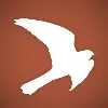 Kestrel Capital Kestrel Capital