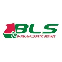 BLS LLC