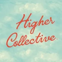 Higher Collective Stores