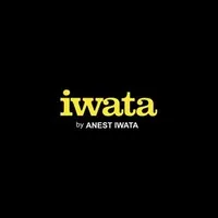 Anest Iwata-Medea, Inc.