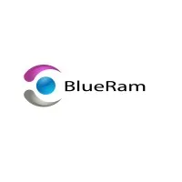 Blueram Information Technologies Limited Company